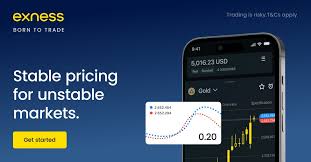 Exploring Exness Trading Platforms A Detailed Guide